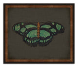 Butterflies on Black V