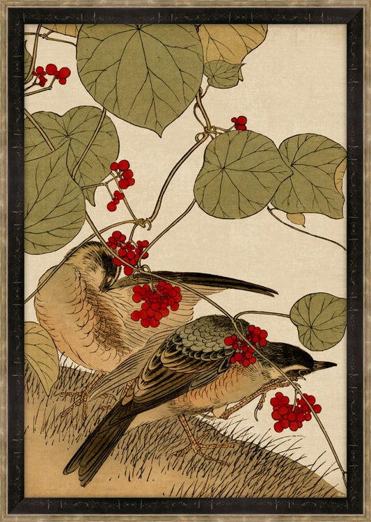 Asian Aviary Petite II