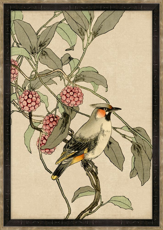 Asian Aviary Petite III