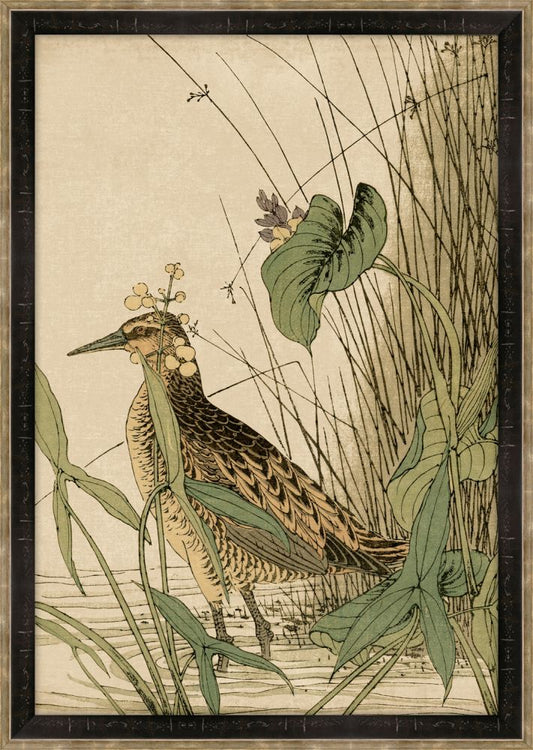 Asian Aviary Petite V