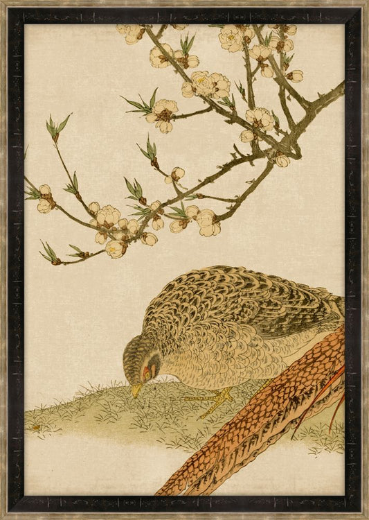 Asian Aviary Petite VII