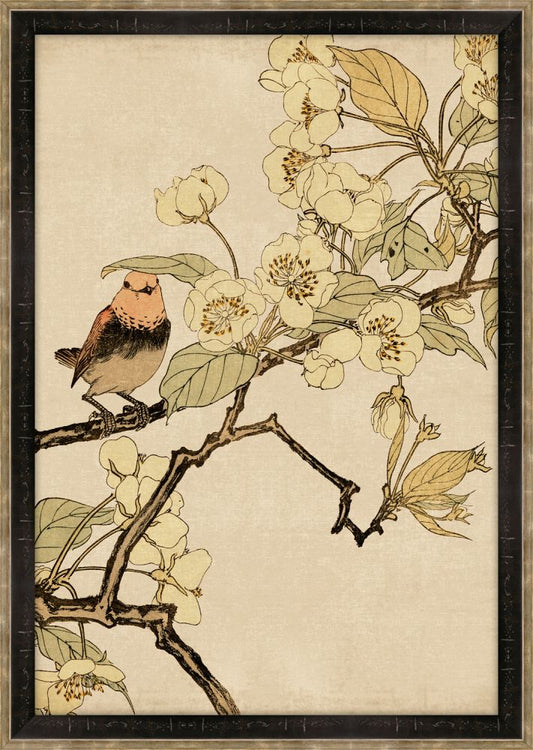 Asian Aviary Petite VIII