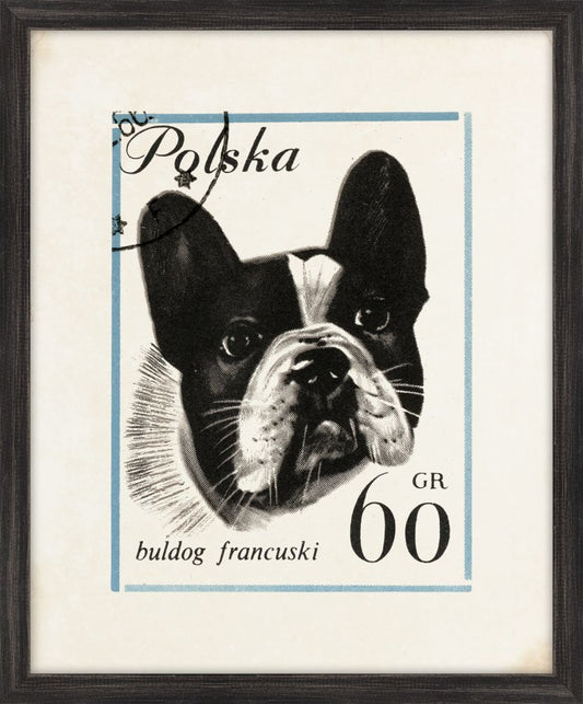 Polska Pup II