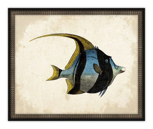 Antique Fish II