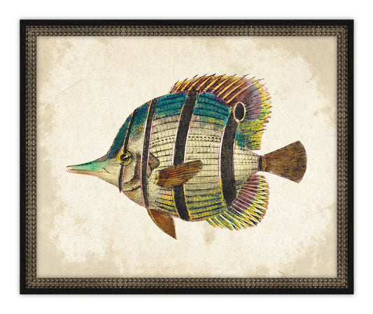Antique Fish III