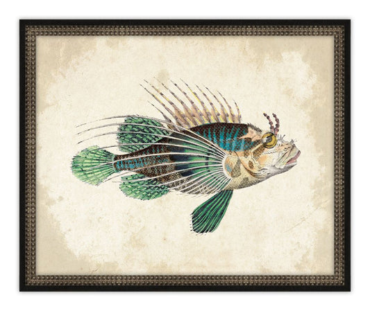 Antique Fish IV