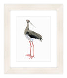 Watercolor Crane