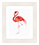 Watercolor Flamingo