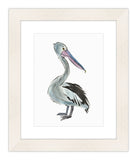 Watercolor Brown Pelican