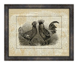 Roosters on Writing II