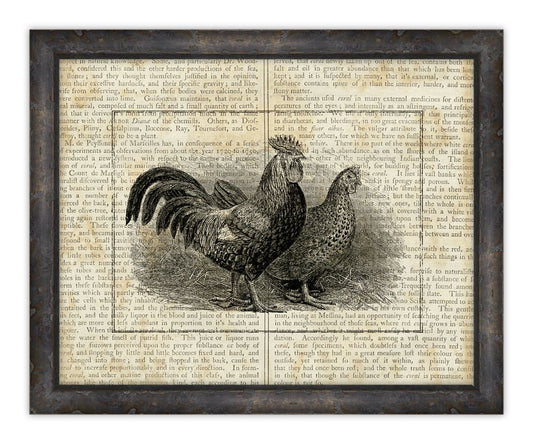 Roosters on Writing III