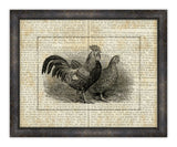 Roosters on Writing III