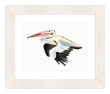 Watercolor Pelican