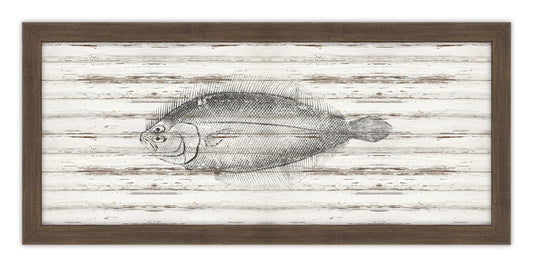 Flounder on Driftwood