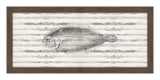 Flounder on Driftwood