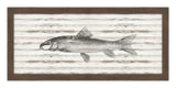 Croaker on Driftwood