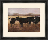 Black Cows I