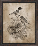 Song Birds On Aged Linen I