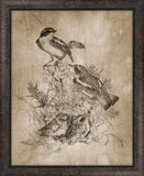 Song Birds On Aged Linen III