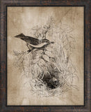 Song Birds On Aged Linen IV