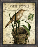 Cartes Postales D'Oiseaux I