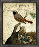 Cartes Postales D'Oiseaux III