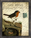 Cartes Postales D'Oiseaux IV