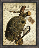 Cartes Postales D'Oiseaux V