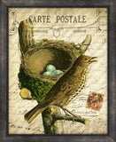 Cartes Postales D'Oiseaux VI