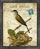 Cartes Postales D'Oiseaux VII