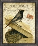 Cartes Postales D'Oiseaux VIII