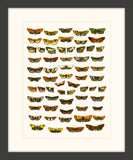 Butterfly Charts I