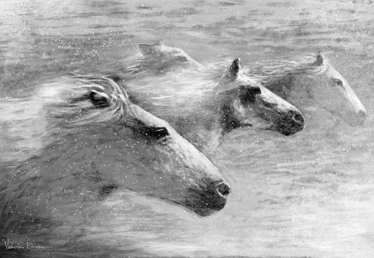 Unbroken Spirit II Boxed Canvas