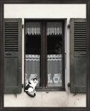 Cat in the Window I