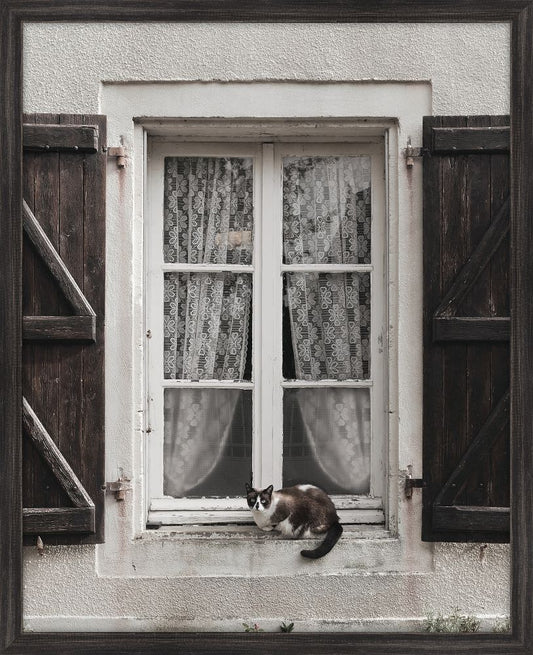 Cat in the Window II