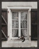 Cat in the Window II