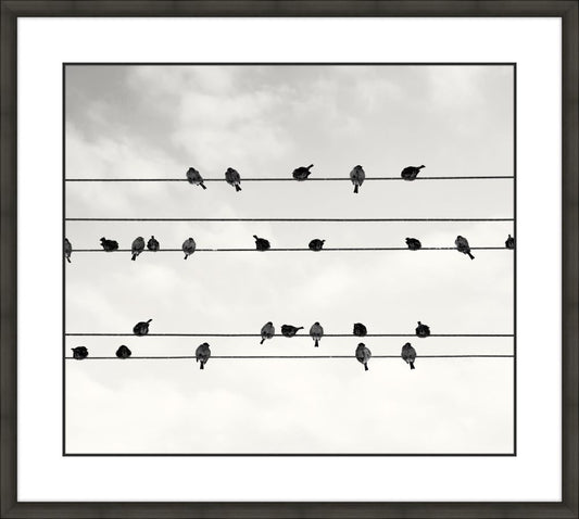 Birds on a Wire I