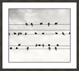 Birds on a Wire I