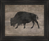 Wild Bison in Black