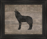 Wild Wolf in Black