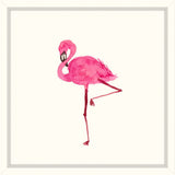 Fancy Flamingo II