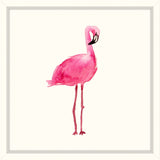 Fancy Flamingo III