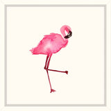 Fancy Flamingo IV