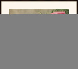 Audubon's Roseate Spoonbill II