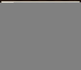 Audubon's Glossy Ibis II