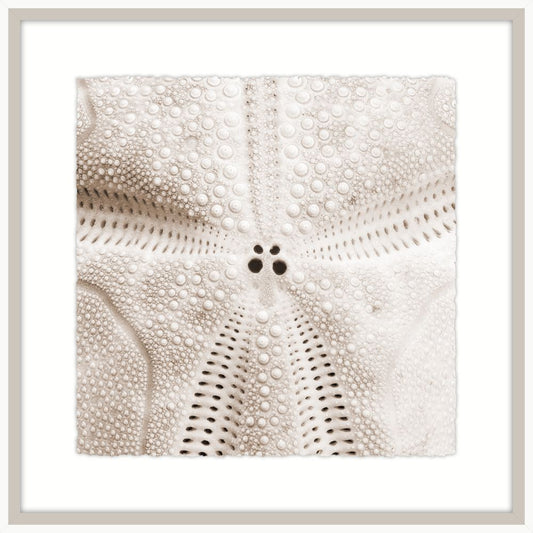 Alabaster Sea Life I