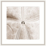 Alabaster Sea Life I