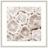 Alabaster Sea Life II