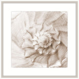 Alabaster Sea Life III