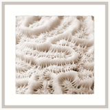 Alabaster Sea Life IV